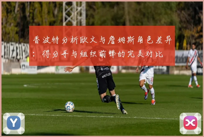 香波特分析欧文与詹姆斯角色差异：得分手与组织前锋的完美对比